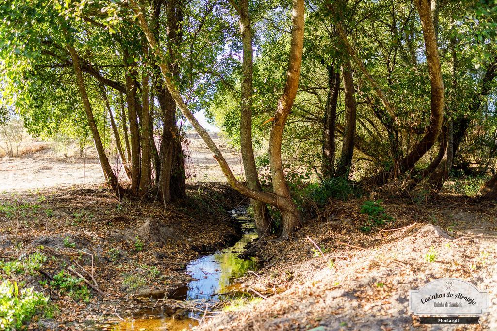Готель Quinta Da Saudade Понті-ді-Сор Екстер'єр фото